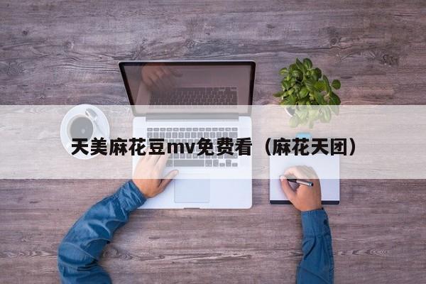 天美麻花豆mv免费看（麻花天团）