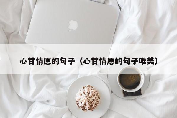 心甘情愿的句子（心甘情愿的句子唯美）