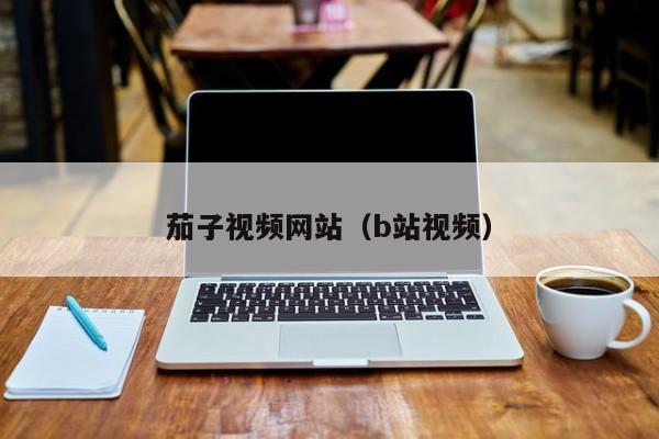 茄子视频网站（b站视频）